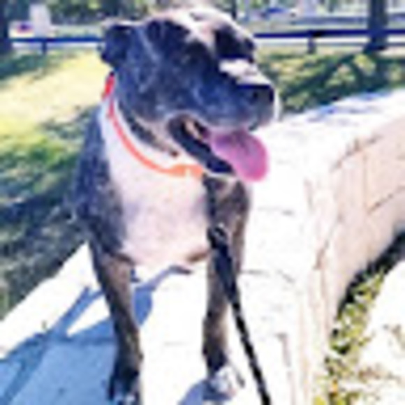 Meet your Posher, Cynthia - Picture 1 of 1